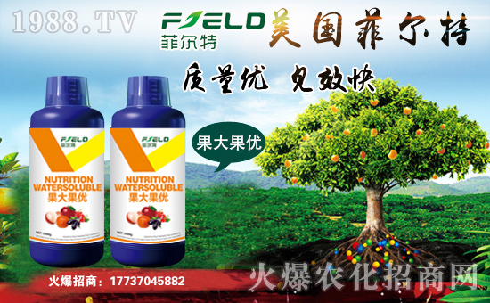 ���Ơ��ء�ףȫ�����N�����т����w���������������