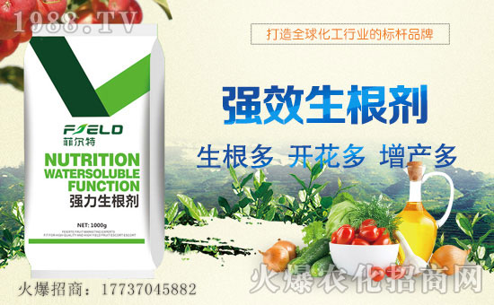 ���Ơ��ء�ףȫ�����N�����т����w���������������