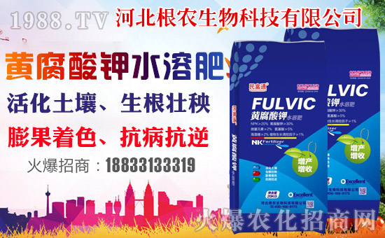 �����r(n��ng)�����ף������������옷�����꼪�飡