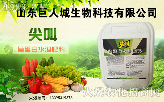 �����˳����ף������µ�һ�������w�����������³ɣ��f��������