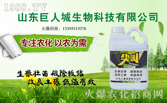 �����˳����ף������µ�һ�������w�����������³����f��������