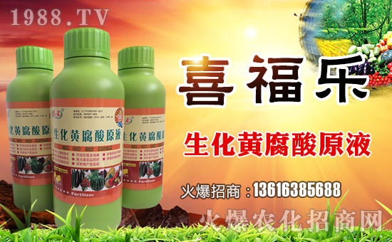 ��ϲ����(l��)��ף������µ�һ���﹤�����������������