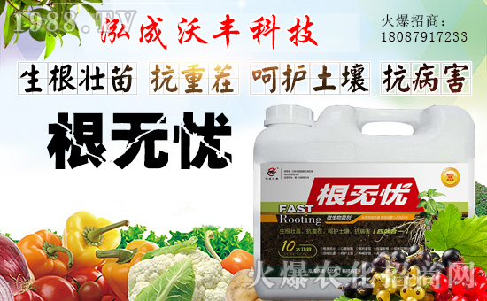 ���������S��ףȫ����(j��ng)�N�����w�������i�꼪����