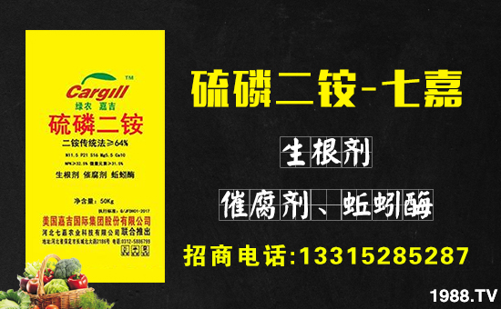     �D(zhu��n)��ӭ��(l��i)�r(n��ng)�v���������q����ƽ����ֵ���´��ѹ�(ji��)��(l��i)�R֮�H���ӱ��߼��r(n��ng)�I(y��)�Ƽ����޹�˾ף������µ�һ�������w�������f(w��n)��������