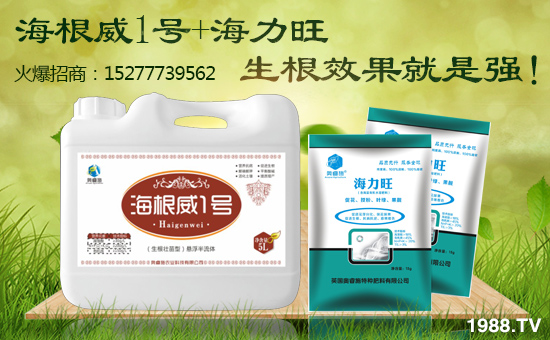 ��Ӣ���W�ʩ��ף���g�gϲϲӭ�i�����f������ƽ������