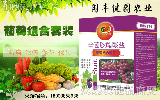 �����S���@��ȫ�w�T��ף����´��옷������������