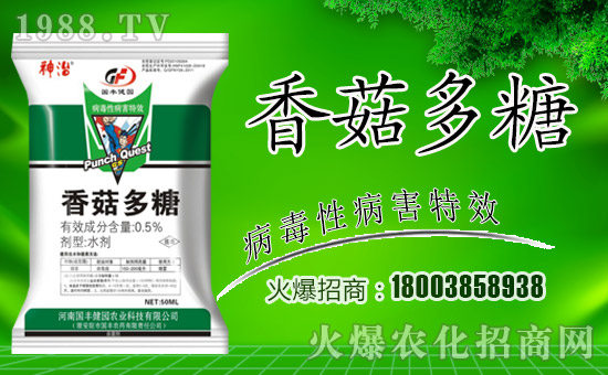 �����S���@��ȫ�w�T��ף����´��옷������������