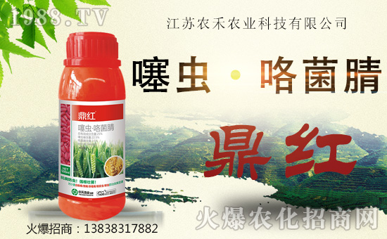 ���滯���h(yu��n)��ף������µ�һ������w�������f��������