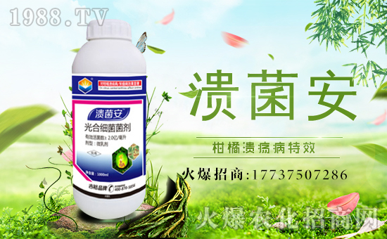 ����ԣ�r(n��ng)�I(y��)��ף������µ�һ�������w�������f��������