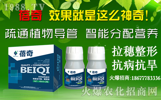 ���v�S�r(n��ng)�I(y��)��ף������µ�һ����ؔ(c��i)Դ�L�L�������d¡��