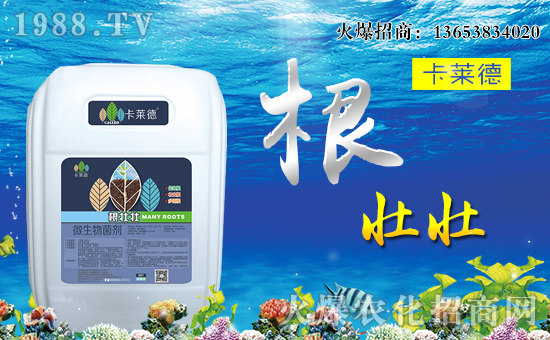 �����R���r(n��ng)�I(y��)��ȫ�w�T����ףȫ��(gu��)��(j��ng)�N�����w�������f(w��n)��������