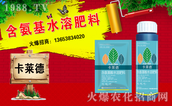 �����R���r(n��ng)�I(y��)��ȫ�w�T����ףȫ��(gu��)��(j��ng)�N�����w�������f(w��n)��������