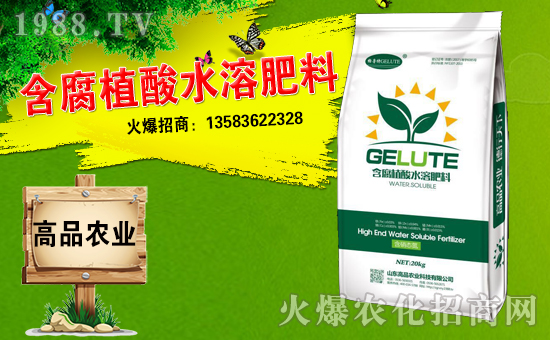 【山東高品】給大家拜年啦!祝您財(cái)源廣進(jìn),心想事成,萬事如意!