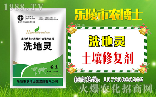 ���r(n��ng)��ʿ��ף���2019��������\(y��n)�������ո�������