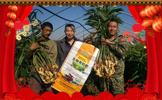     �C(j��)�����ں��������������⣬�ں����м������I(y��)���ں����ЉѴ󣻉�(m��ng)�����ں������v�w��ֵ���´��ѹ�(ji��)��(l��i)�R֮�H����(n��i)�ɹŽ��¡�r(n��ng)�I(y��)�Ƽ��l(f��)չ���޹�ףԸ��λ��(j��ng)�N�����ѣ����w������ؔ(c��i)Դ�V�M(j��n)���f(w��n)����혣�