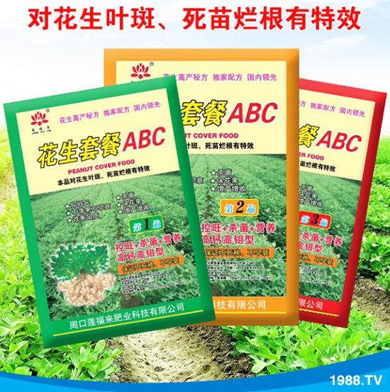     ���ܿ�ɏ����(l��i)��ף������µ�һ�������w�������f(w��n)������