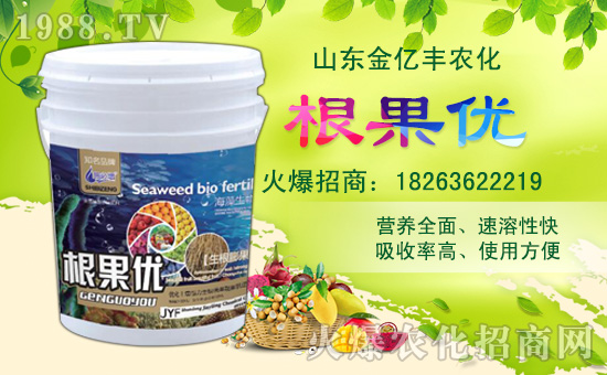     �����|�S��ףȫ������������옷���i��������w������ؔԴ�V�M(j��n)