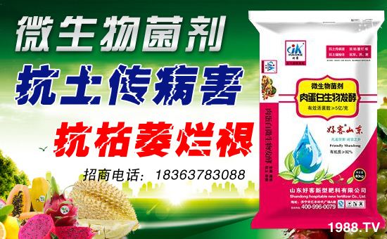 ��ɽ�|�ÿ͡�ף�����������w�������f��������