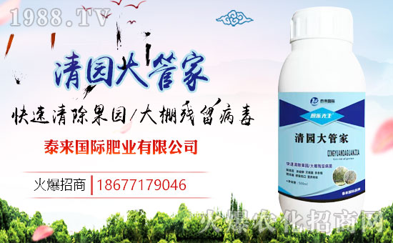 ��̩��(l��i)��(gu��)�H��ף������µ�һ����ؔ(c��i)�\(y��n)�L�L�������d����