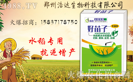 �����_�����ף������������옷�����i���������