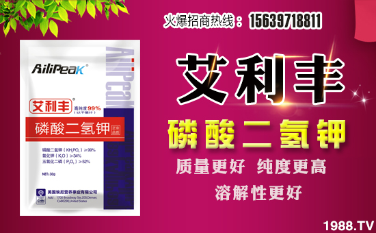 ���Խ�r(n��ng)�I(y��)��ף������µ�һ����ؔ(c��i)�\(y��n)�L�L������������