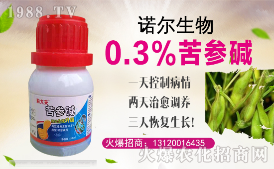 ���Z�����ȫ�w�T����ףȫ����(j��ng)�N�����w�������i�꼪�飡