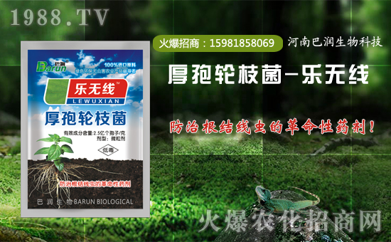 ���͝����ף������µ�һ�������w���������������