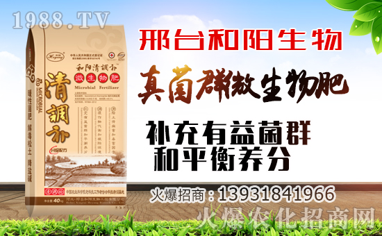 ��������ף������µ�һ�������w�������f��������