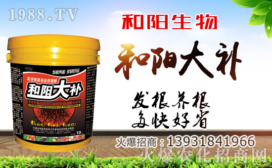 ��������ף������µ�һ�������w�������f��������