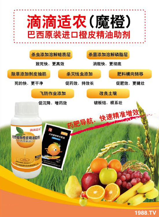 ���ӱ������á���ף������������i���д��\(y��n)��