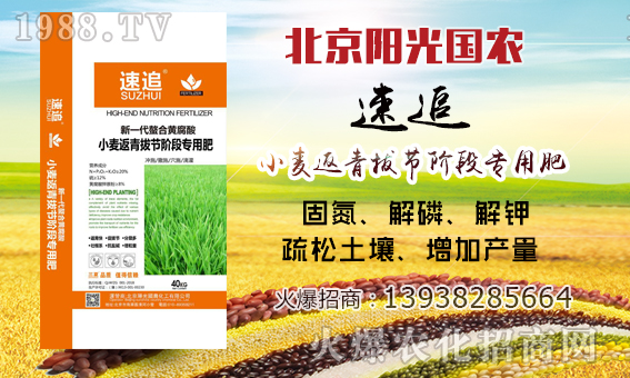     ���(y��ng)���(gu��)�r(n��ng)��ף������µ�һ�������w�������H�Қg��(l��)��