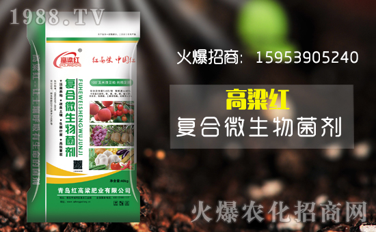 �����u�t������ף������µ�һ����ؔ(c��i)Դ�L�L��(l��i)��