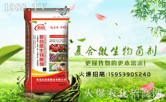 �����u�t������ף������µ�һ����ؔ(c��i)Դ�L�L��(l��i)��