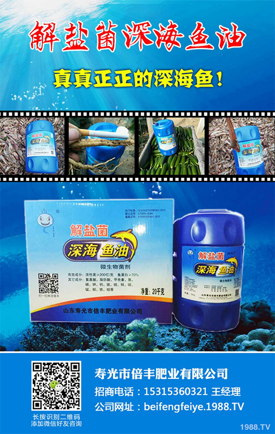 ���۹ⱶ�S�ʘI(y��)��ף��������µ�һ�����_��󼪣��f��������