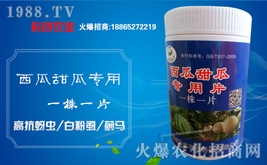 ���Ƅ�(chu��ng)�r(n��ng)�I(y��)��ȫ�w�T����ףȫ��(gu��)��(j��ng)�N�����w�������i���д��\(y��n)��