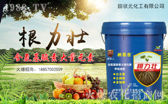 �����Ԫ������ףȫ��(gu��)��(j��ng)�N(xi��o)���i������f(w��n)�����⣡