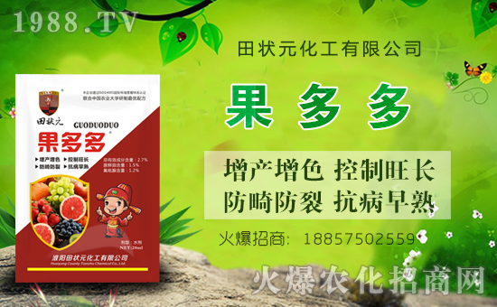 �����Ԫ������ףȫ��(gu��)��(j��ng)�N(xi��o)���i��󼪣��f(w��n)��������