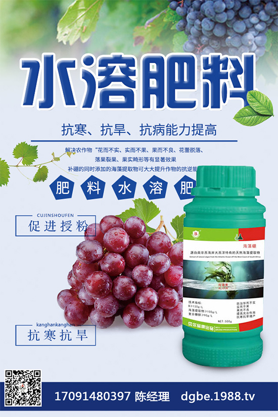 甘藍(lán)黑斑病危害這么大,到底該如何防治?快來(lái)看看吧!