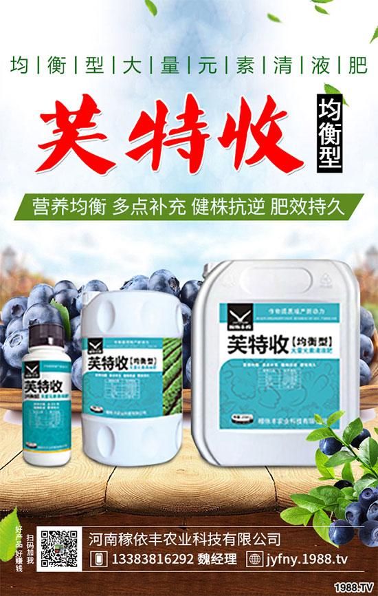 陽臺上能種植上海青嗎?該注意什么?陽臺上種植上海青的注意事項