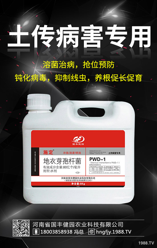 С�����݄�ʲô�r(sh��)���ã�С������݄��ĕr(sh��)�g��ע�����(xi��ng)��