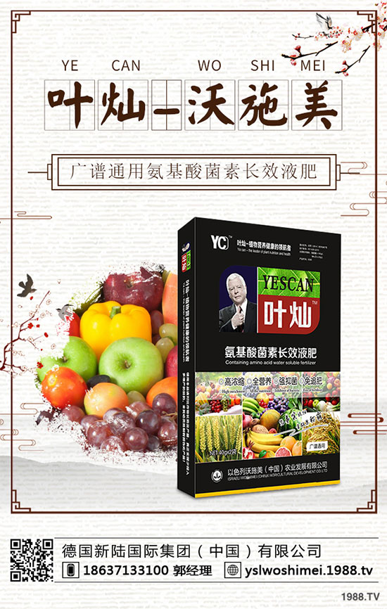 ��С����ʲô���F(xi��n)�S������������С���S�磬������δ�ʩ��