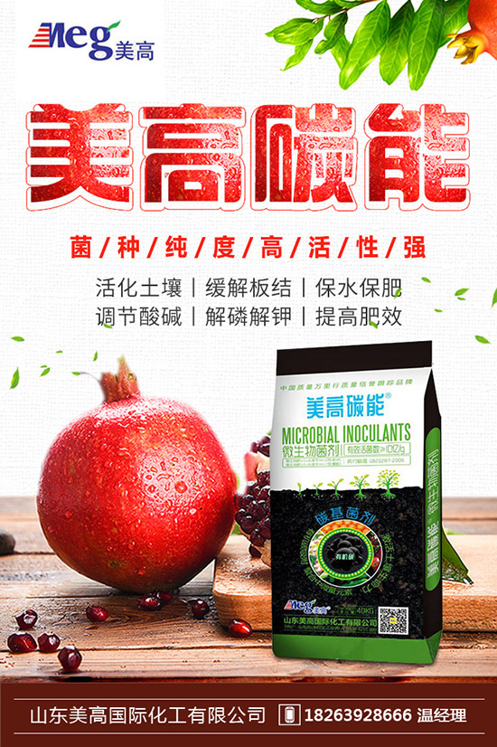     2019��10��17�ս��Շ���(n��i)⛷ʃr(ji��)�������߄��A(y��)�y�C���u��