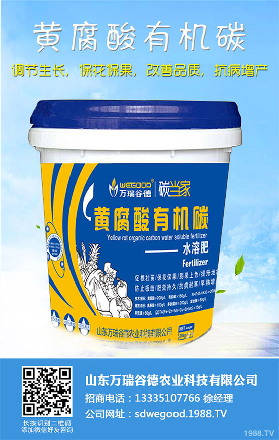 С�ײ�ʲô�r��Nֲ��С�ײ˸߮a(ch��n)�Nֲ���g(sh��)