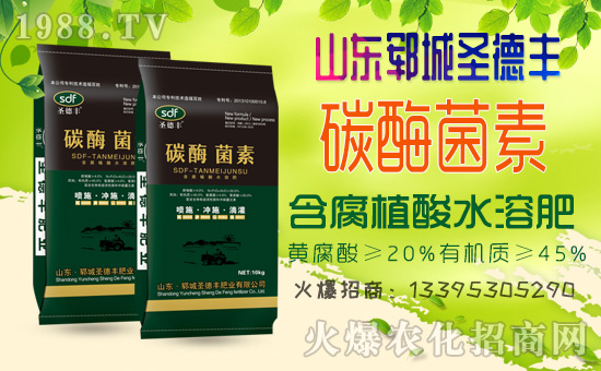     ����ʮ����1988.TVϲӭ��������ɽ�|�i��ʥ���S��(qi��ng)��(sh��)��(l��i)�u��