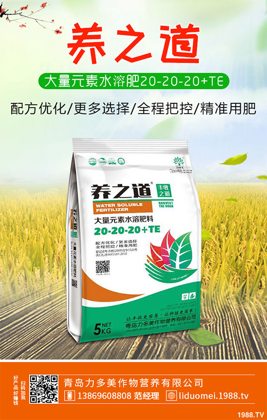 �ײ˰��P��Σ���@ô��������ԓ��η������ײ˰��P�����δ�ʩ