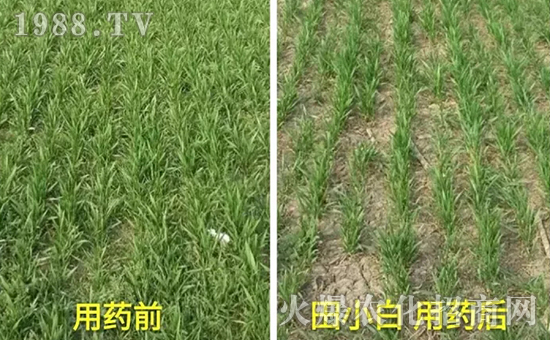 ��(ji��)��(ji��)����η�������ʲôˎ����ô��ˎЧ���ã�