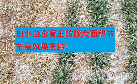 ��(ji��)��(ji��)����η�������ʲôˎ����ô��ˎЧ���ã�