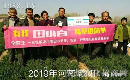 39��(ji��)��(ji��)����η�������ʲôˎ����ô��ˎЧ������