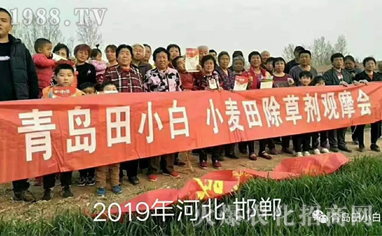 ��(ji��)��(ji��)����η�������ʲôˎ����ô��ˎЧ������