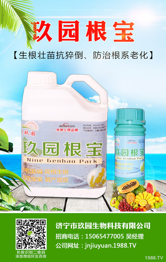 �������x��η����������x��Σ�����l(f��)��Ҏ(gu��)����